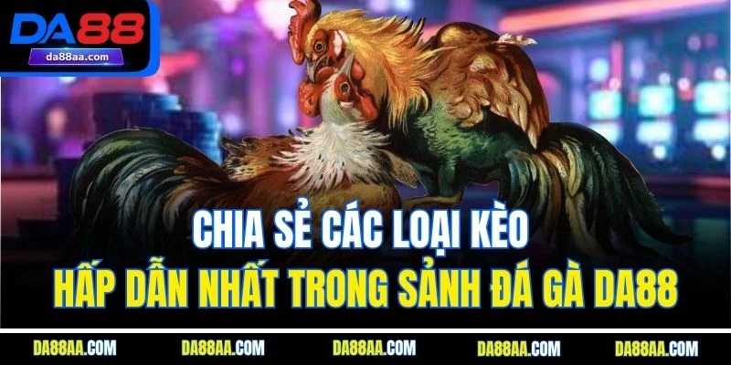 Chia sẻ các loại kèo hấp dẫn nhất trong sảnh đá gà DA88