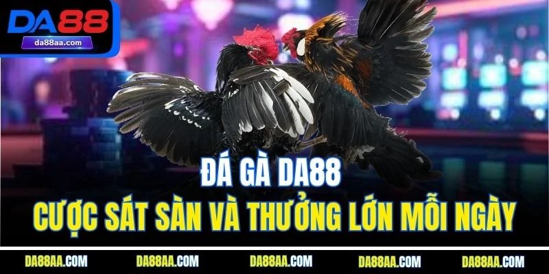 Đá gà DA88