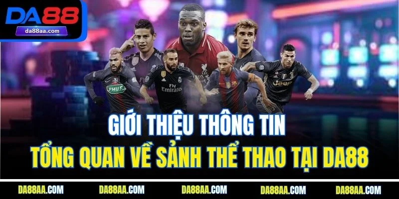 Giới thiệu thông tin tổng quan về sảnh thể thao tại DA88