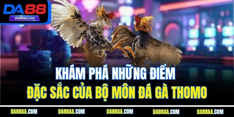 Khám phá những điểm đặc sắc của bộ môn đá gà Thomo
