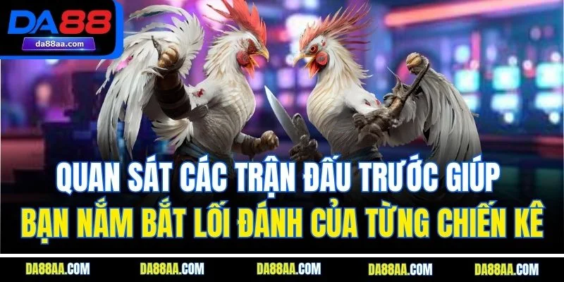 Quan sát các trận đấu trước giúp bạn nắm bắt lối đánh của từng chiến kê