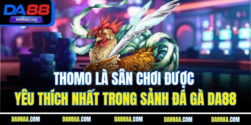 THOMO là sân chơi được yêu thích nhất trong sảnh đá gà DA88