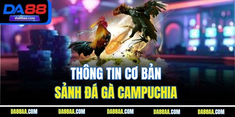 Thông tin cơ bản sảnh đá gà Campuchia